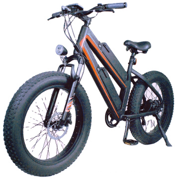 High performance powerful double lithium battery fat tire electric bicycle